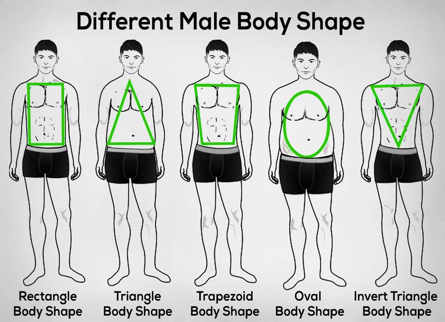 The Ultimate Guide to Fitness for Different Body Types: Find What Works for You