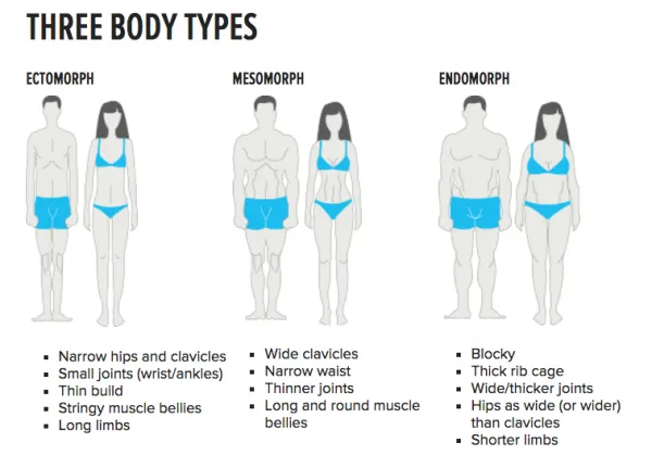 The Ultimate Guide to Fitness for Different Body Types: Find What Works for You
body types